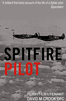 Spitfire Pilot